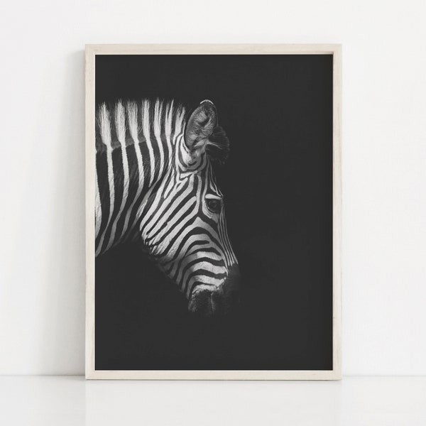 Zebra Print, Zebra Wall Art, Zebra Poster, Zeba Pictures, Animals Pictures, Animals Poster, Digital download.
