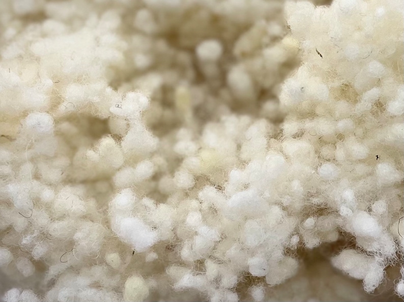 May include: Close-up of white fluffy filling material, commonly used in pillows, cushions, and stuffed toys.