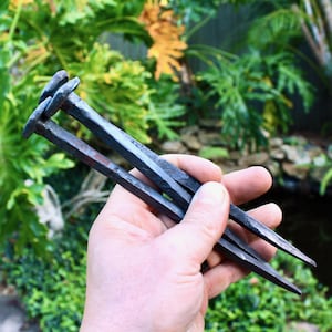 May include: A close-up of three dark metal nails with square heads, held in a hand. The nails are a dark gray color with some rust-colored areas. The background is blurred green foliage.