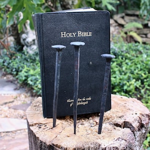 May include: A black Holy Bible with gold lettering stands upright on a tree stump, with four large, dark metal nails in front. The nails have flat, round heads and are positioned in front of the book.