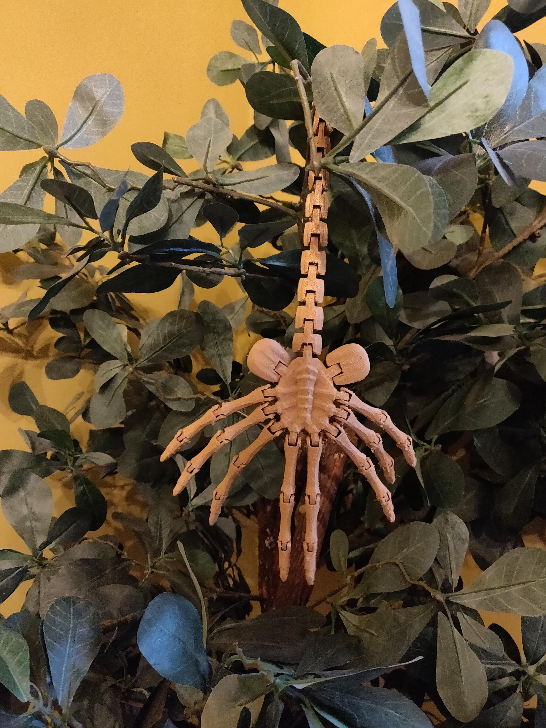 Bewegliches Facehugger Modell – Schwarze Sci-Fi Figur Für Sammler & Horror-Deko