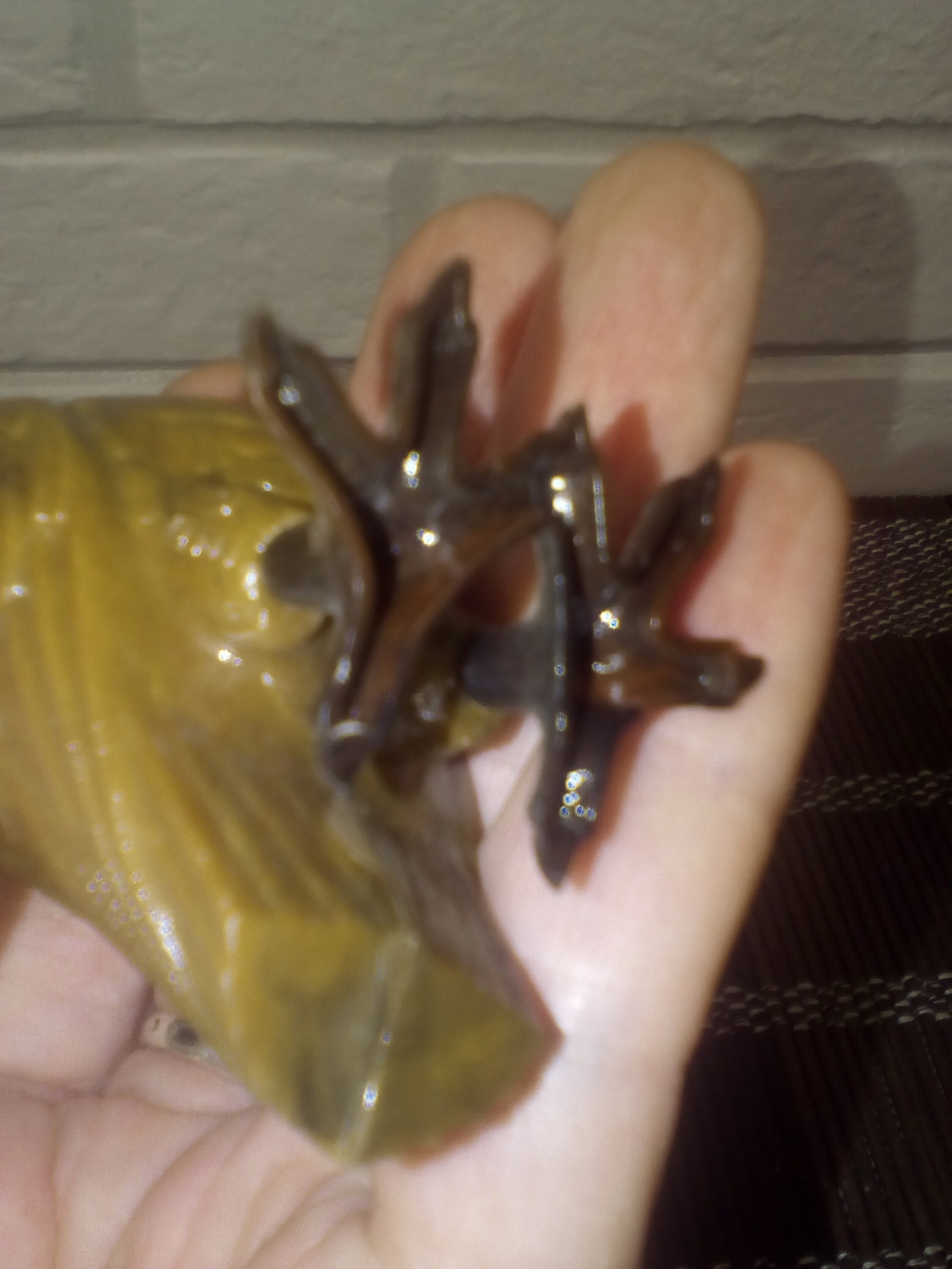 Vintage Owl Nodder/bobble Head Owl Toy/breba/west Etsy UK