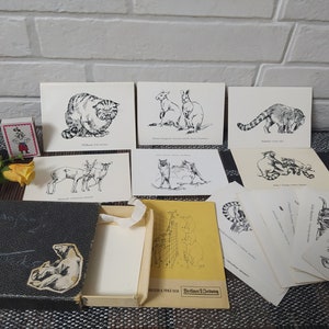 Tarjetas DDR Tierpark del Zoológico de Berlín con folleto en caja original/Edición del Berliner Zeitung de 1963/Artículo del Museo DDR/Dibujos de animales/Recuerdos DDR