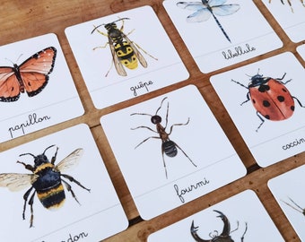 Les insectes , documents linguistiques - cartes de nomenclature - jeu d’apprentissage d’inspiration Montessori –