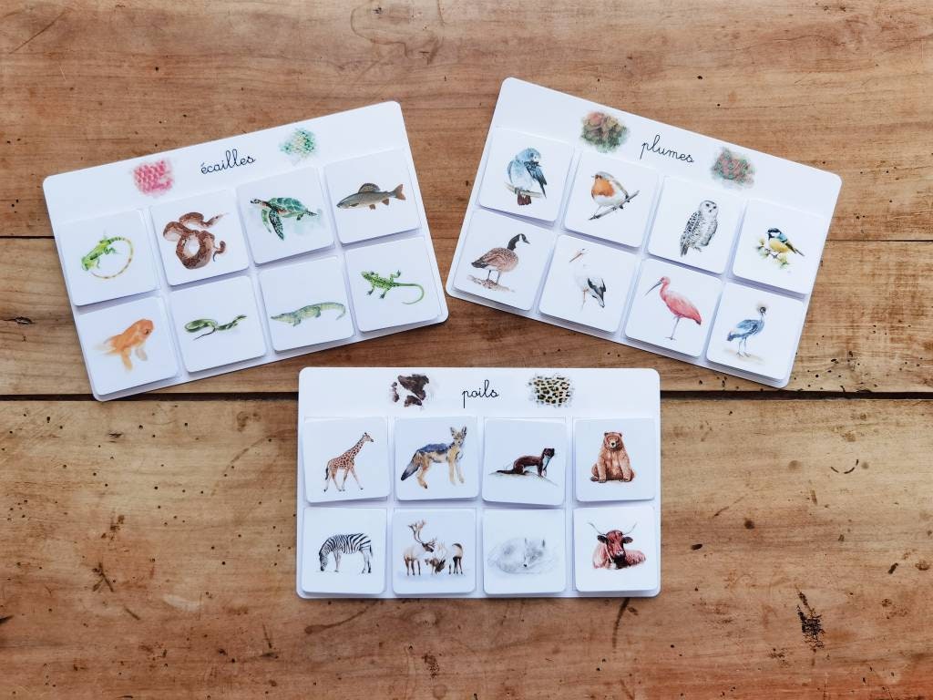 Montessori : le jeu d'association animal/ pelage-plumage à