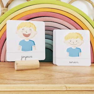 Boy's emotions, linguistic documents - nomenclature cards - Montessori-inspired learning game -