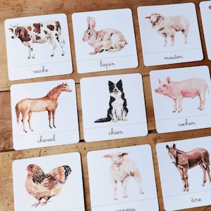 Farm animals, linguistic document - nomenclature cards - Montessori-inspired learning game