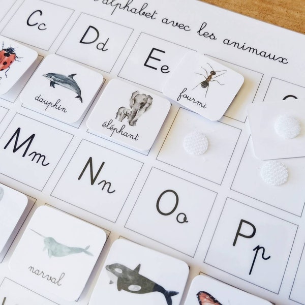 Animal alphabet game, Montessori phonetic recognition game