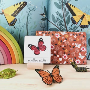 Butterfly life cycle, linguistic documents - nomenclature cards - Montessori-inspired educational learning game