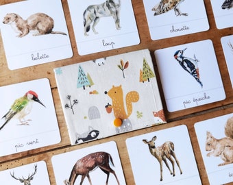 La forêt , documents linguistiques - cartes de nomenclature - jeu d’apprentissage d’inspiration Montessori –