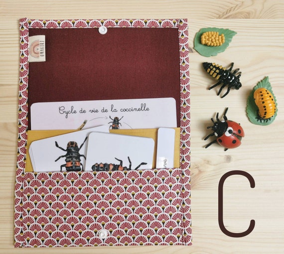 Kit de Crochet . Cycle de Vie de la Coccinelle