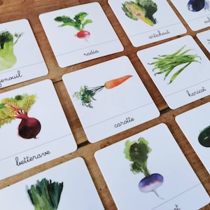 Vegetables, linguistic document - nomenclature cards - Montessori-inspired learning game