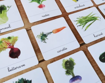 Les légumes, document linguistiques - cartes de nomenclature - jeu d’apprentissage d’inspiration Montessori