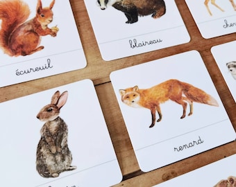 Les animaux de la forêt, documents linguistiques - cartes de nomenclature - jeu d’apprentissage d’inspiration Montessori –