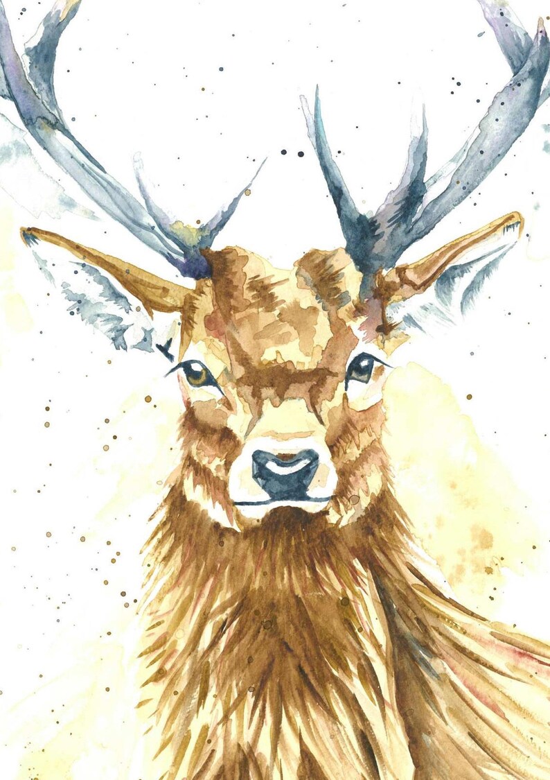 Stuart the Stag Highland Stag Print Watercolour print Stag | Etsy
