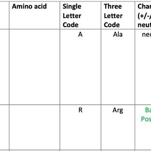 Amino Acids MCAT Cheat Sheet Practice Fillable. - Etsy