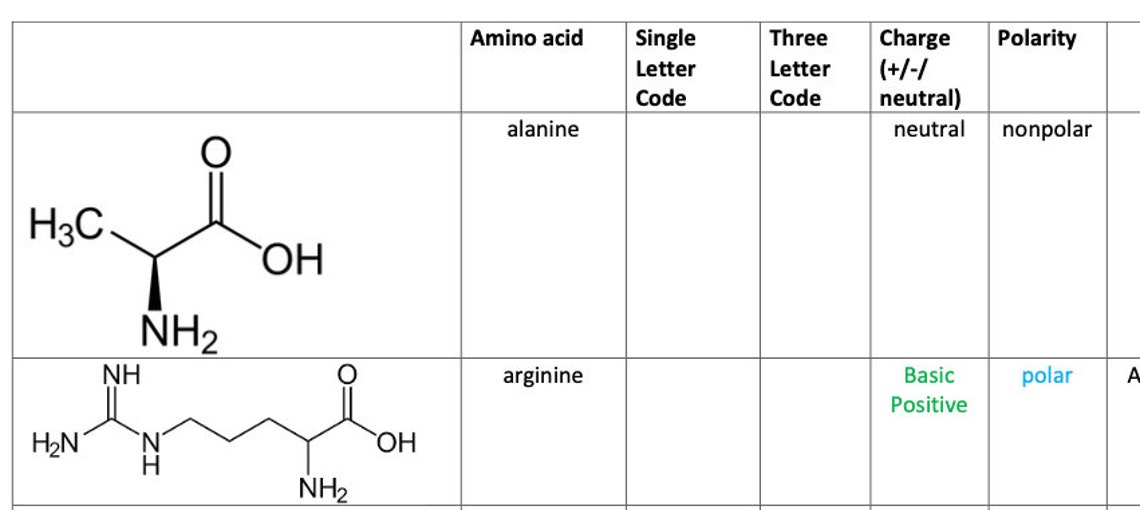 Amino Acids MCAT Cheat Sheet Practice Fillable. Etsy Australia