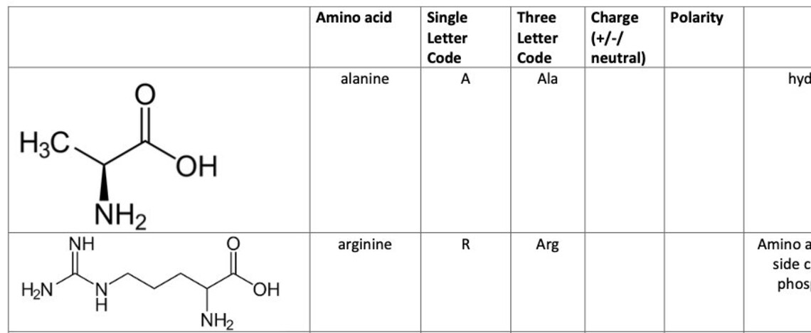 Amino Acids MCAT Cheat Sheet Practice Fillable. - Etsy