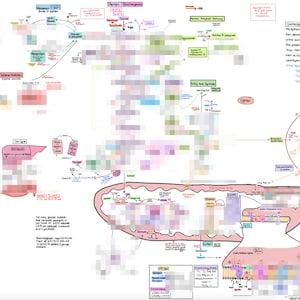 MCAT Metabolism