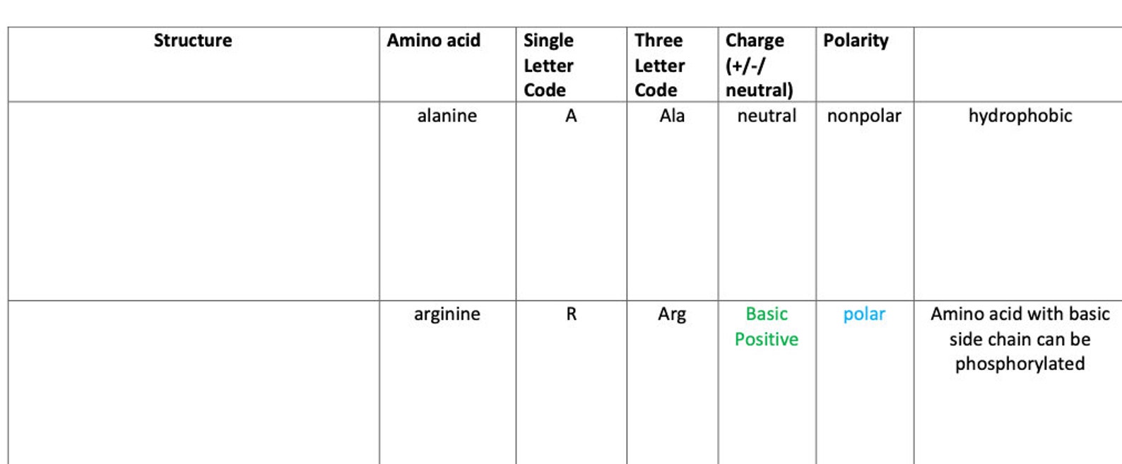Amino Acids MCAT Cheat Sheet Practice Fillable. Etsy Australia