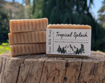 Tropical Splash Goat Milk Soap 4 Pack – Tropical, Fruity, Scented Hot Process Bars