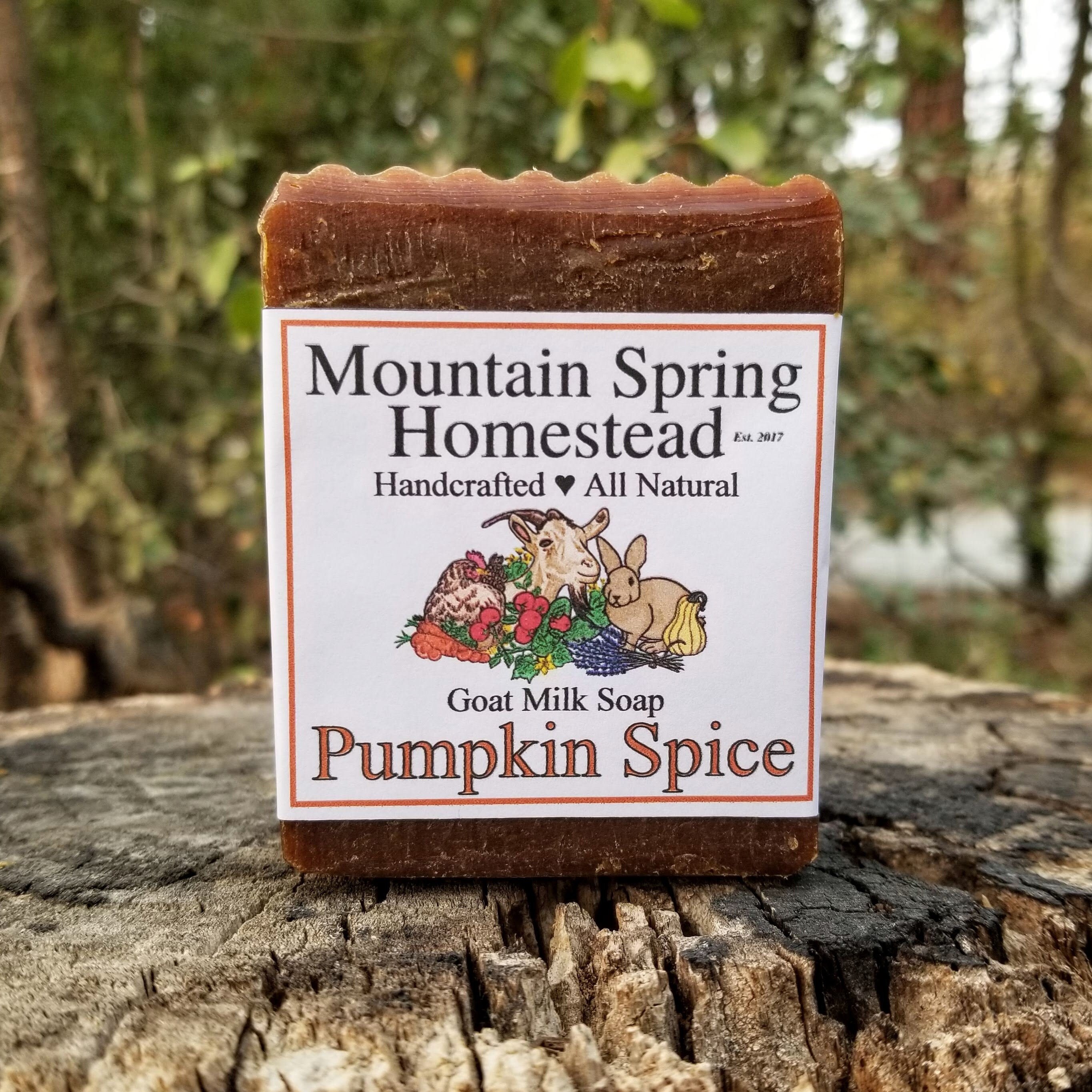 Pumpkin Spice Goat Milk Soap Etsy