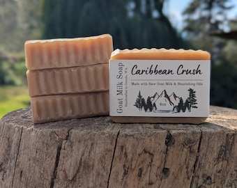 Caribbean Crush Goat Milk Soap 4 Pack – Tropical Scented Hot Process Bars