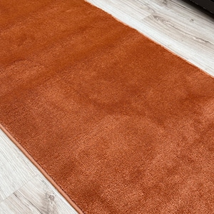 May include: A rectangular, rust-colored rug with a plush, textured surface. The rug is placed on a light-colored wooden floor. The rug's edges are neatly finished, and the overall appearance is clean and modern. This rug is suitable for home decor.