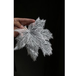 May include: A delicate white lace leaf, resembling a maple leaf, is held in a hand against a black background.