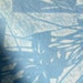 DaliTieDye store logo