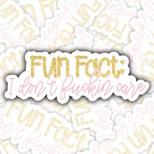 Fun Fact I Don&#39;t Care Sticker, I Don&#39;t Fu*king Care Sticker, Swearing Sticker, Sarcastic Sticker, Waterbottle sticker, Laptop Sticker