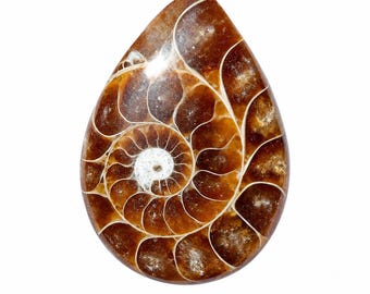 Ammonite Fossil Cabochon, Pear Semi Precious Stone, 25.70 ct