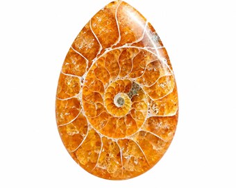 Polished Ammonite Fossil Pendant: Natural Pear Cabochon, 27.35ct