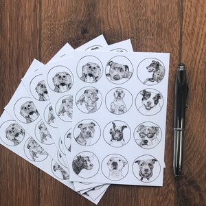 Pack of 5 Staffie Notecards