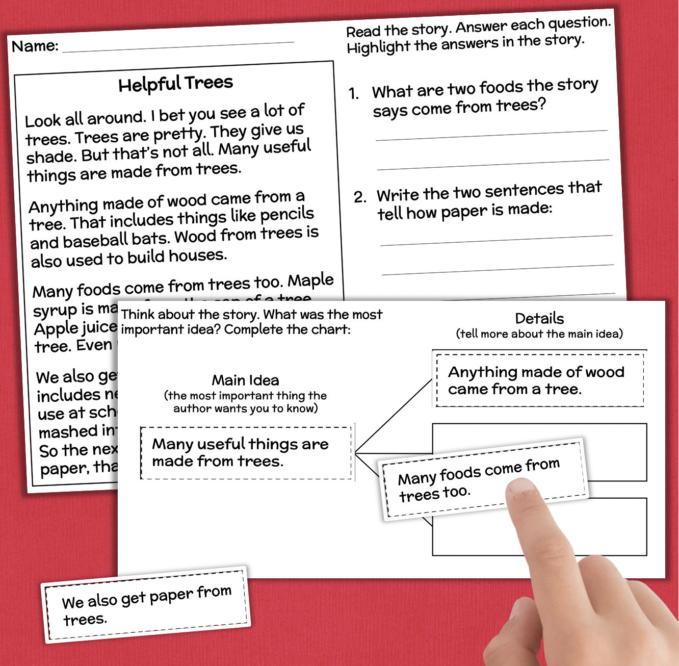 2nd Grade Reading Comprehension Worksheets MAIN IDEA Classroom - Etsy ...