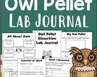 Owl Pellet Dissection Activity Lab Booklet 2nd 3rd 4th Grade Science Homeschool Classroom Printables