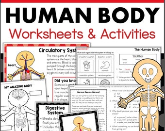 Human Body Systems and Organs for Primary Grades Science Posters & Worksheets Homeschool Classroom