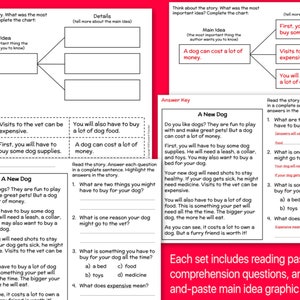 2nd Grade Reading Comprehension Worksheets MAIN IDEA Classroom ...