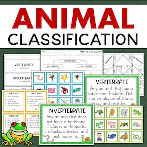 Gewervelde en ongewervelde dieren Classificatie van dieren Wetenschapsactiviteiten en werkbladen 3e 4e leerjaar Thuisonderwijs Printables klas