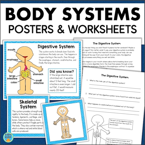 Human Body Systems For 5th Grade Human Body Systems Lessons And