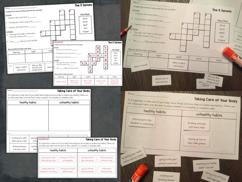 Human Body Systems and Organs for Primary Grades Science Posters ...