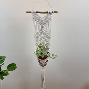 Könnte beinhalten: Ein weißer Makramee-Pflanzenhänger mit einem Holzstab oben und einer kleinen Topfpflanze, die in der Mitte hängt. Der Pflanzenhänger hat unten einen Quasten.