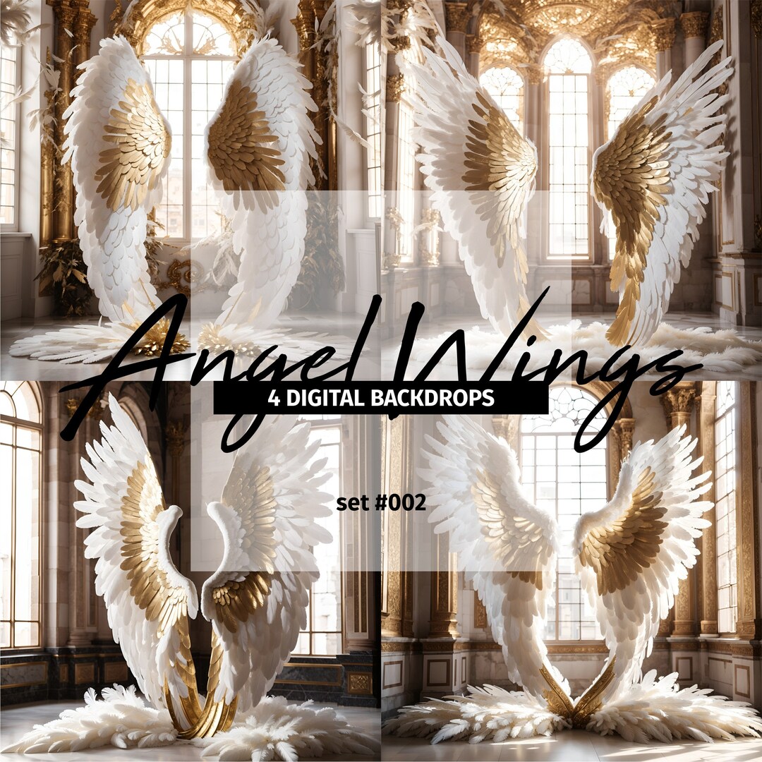Angel Wings White Gold Wings Angel Background Backdrop Palace Window ...