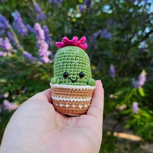 May include: A small crocheted cactus with a pink flower on top, wearing a happy face, sitting in a brown and white crocheted pot.