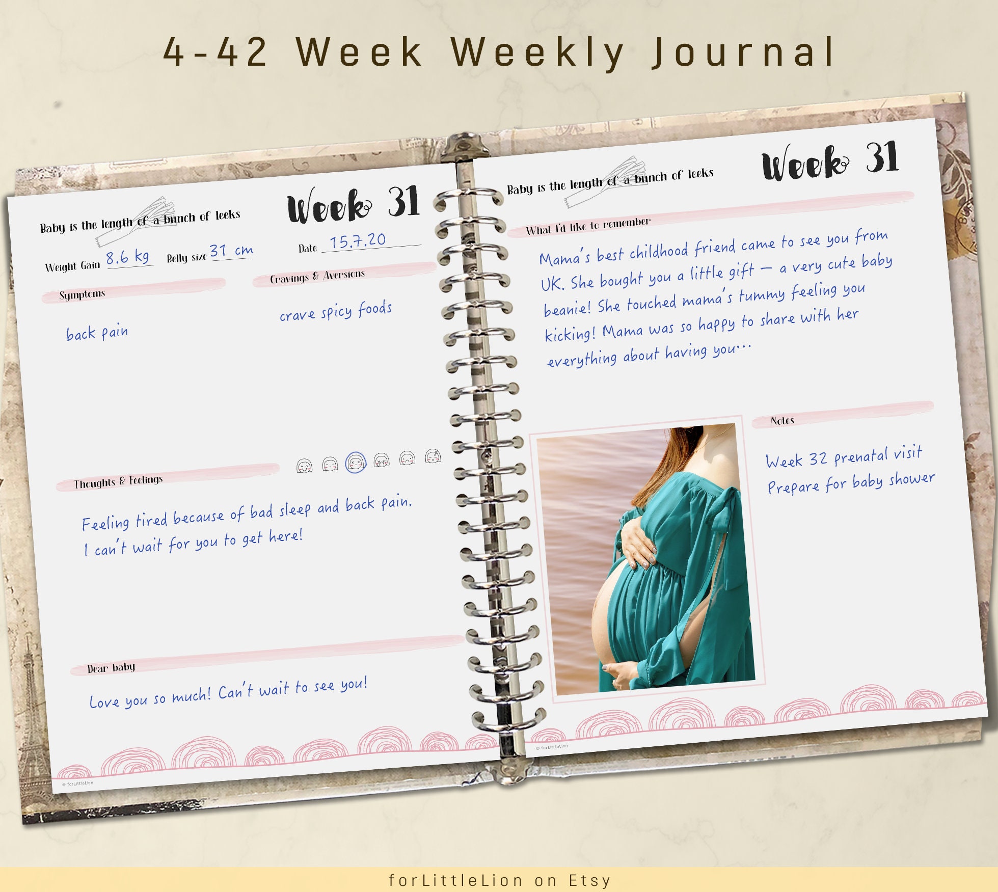 Pregnancy Journal PRINTABLE Pregnancy Planner Baby Bump Etsy