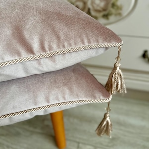 Blush Dusty Pink Velvet Pillow Cover, Light Dusty Pink Decorative Pillow Cover, Pink Throw Cushion Cover, 14x14,  20x20 , 22x22,  24x24