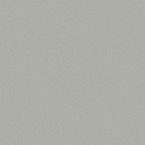 Cow Suede Steel