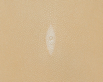 Rochen Hautcreme 28cm