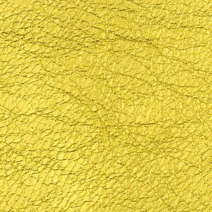 Lamb Skin Metallic Yellow