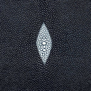 Stingray Skin Navy 11&quot;